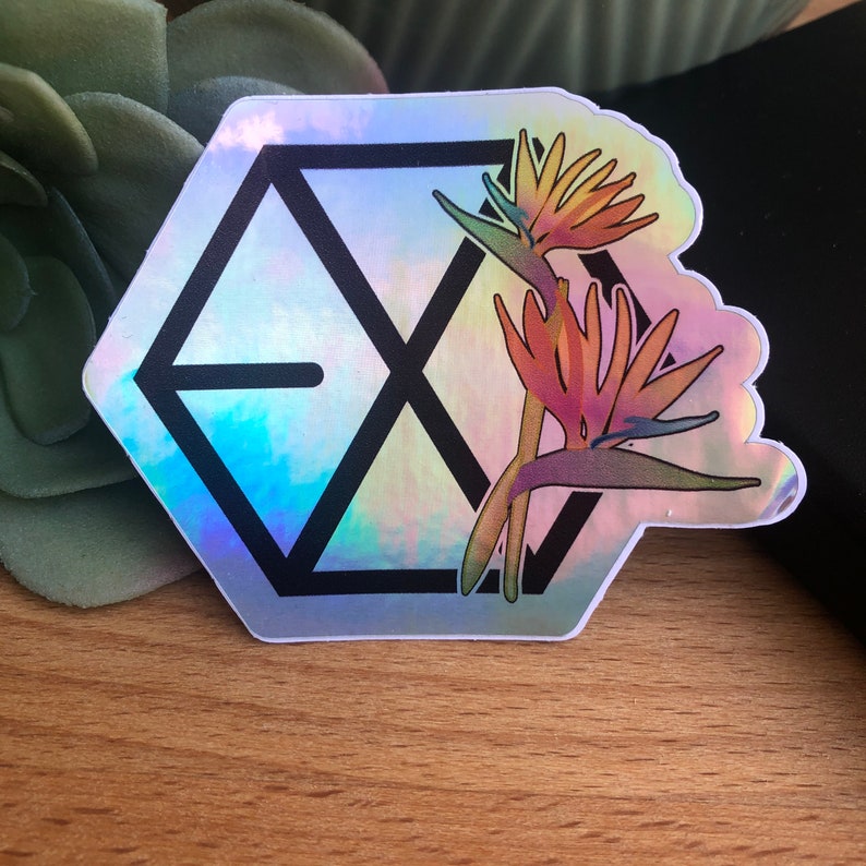 exo holo sticker exo bloemen logo holografische sticker etsy