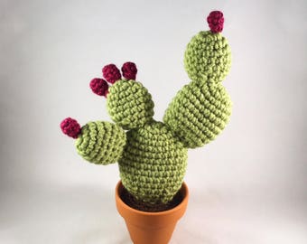 Crochet Cactus with Terra Cotta Pot - Opuntia (Prickly Pear) with Fruits