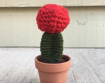 Crochet Cactus with Terra Cotta Pot - Moon Cactus