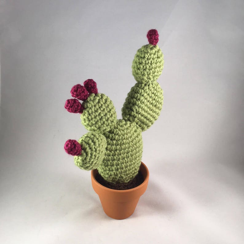 Crochet Cactus with Terra Cotta Pot Opuntia Prickly Pear | Etsy