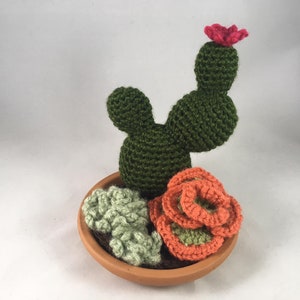 Crocheted Cactus and Succulent Garden with Terra Cotta Pot – 3 Plants