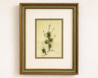 Vintage Yucca Watercolor Painting by Shirley L. Gonzales, Framed Southwestern Art