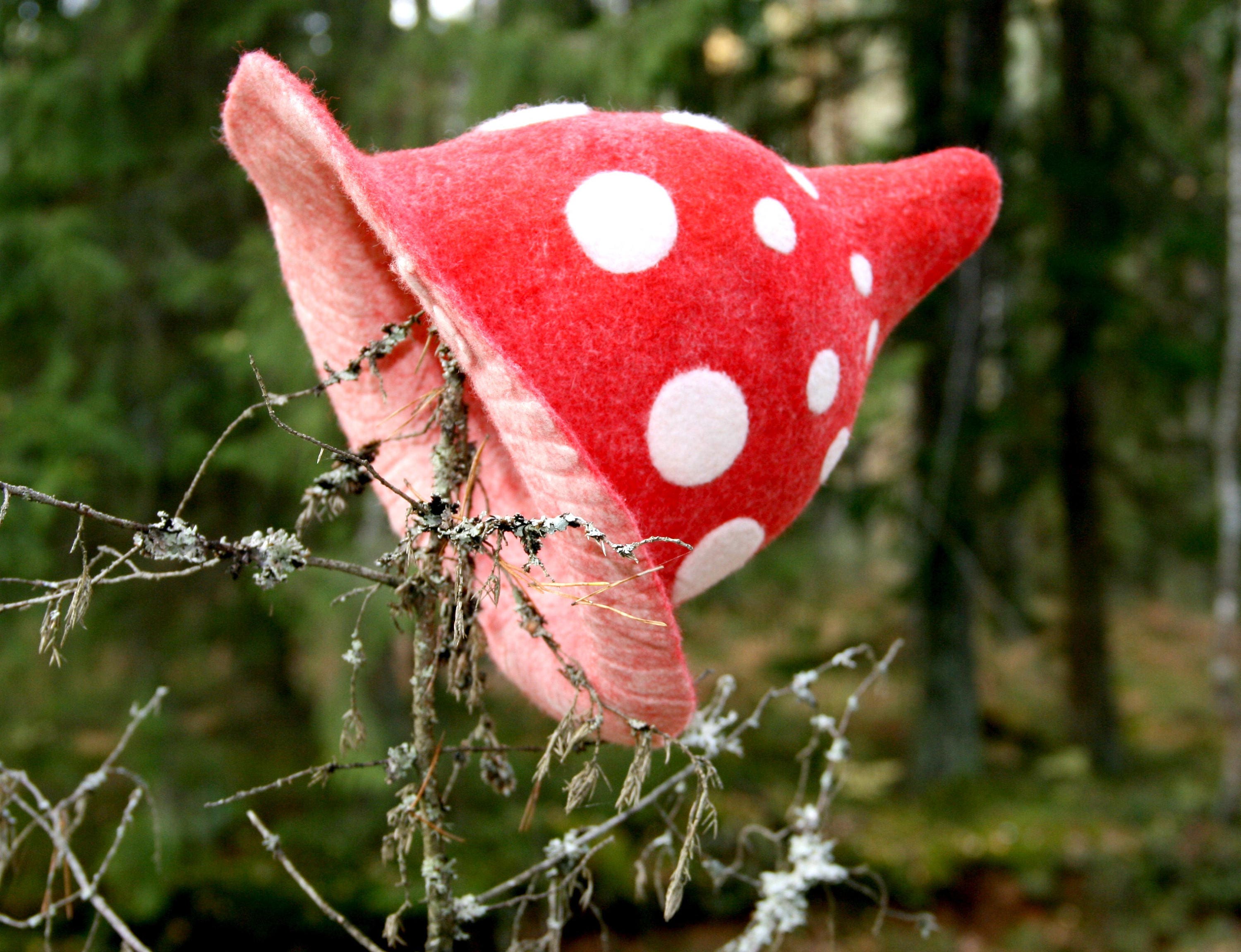 Felted Mushroom Hat: Red Fly Agaric Pixie Top Hat - Etsy display picture 3