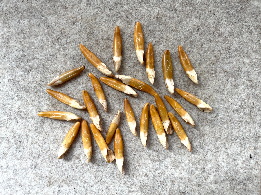 Elk Bone Rune Set 24+1, Viking Age Craft, Elder Futhark, Dyed With ...