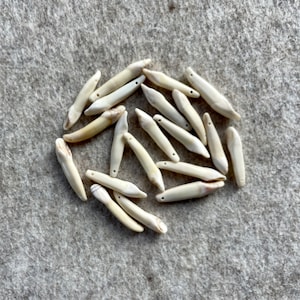 Op de afbeelding: Een verzameling van ongeveer 20 gebroken witte, natuurlijke, bot-achtige kralen met een geboord gat in elk. De kralen zijn in een cirkel gerangschikt op een lichtgrijs oppervlak.