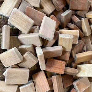 Black Alder Wood for your Craft, for Runes Carving, Waterpolished, 28 pieces.