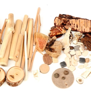 May include: A collection of natural wood elements including various smooth light-colored sticks, two round wood slices with bark edges, a large piece of textured birch bark, small wooden shapes, and scattered dark brown organic fragments.
