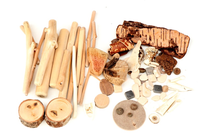 May include: A collection of natural wood elements including various smooth light-colored sticks, two round wood slices with bark edges, a large piece of textured birch bark, small wooden shapes, and scattered dark brown organic fragments.