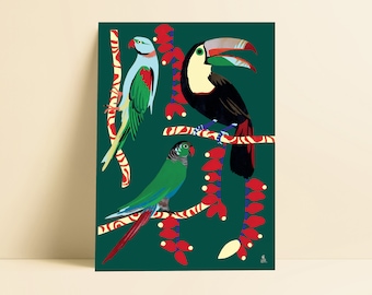 TROPICAL BIRDS EXOTIC illustration poster toucan wallart