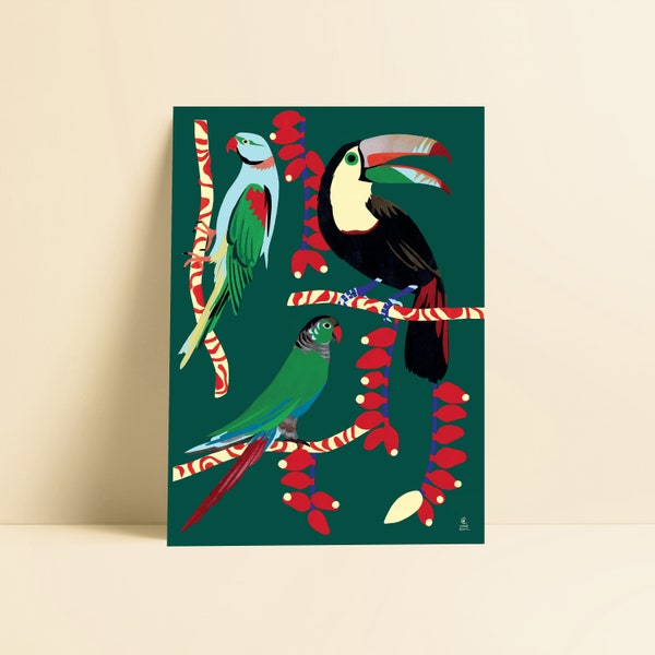 Affiche perroquets, Illustration oiseaux exotiques, toucans, décoration vert émeraude