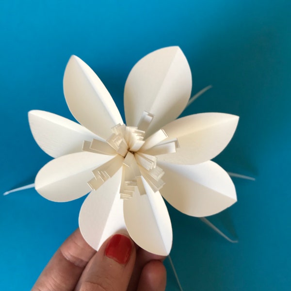 Gabarit Fleurs en papier décor de fête Fleur en papier Grosse fleur en papier tutoriel