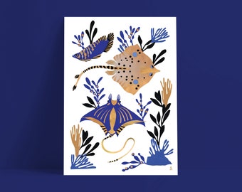SOLE MANTA RAY illustration for childroom ocean poster the sea drawing