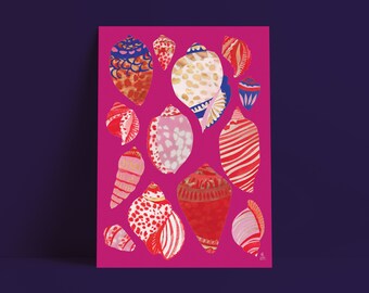 SEASHELLS POSTER , under the sea illustration