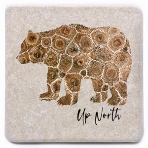 May include: A brown bear silhouette with a pattern of fossilized coral, on a beige background. The text "Up North" is written below the bear.