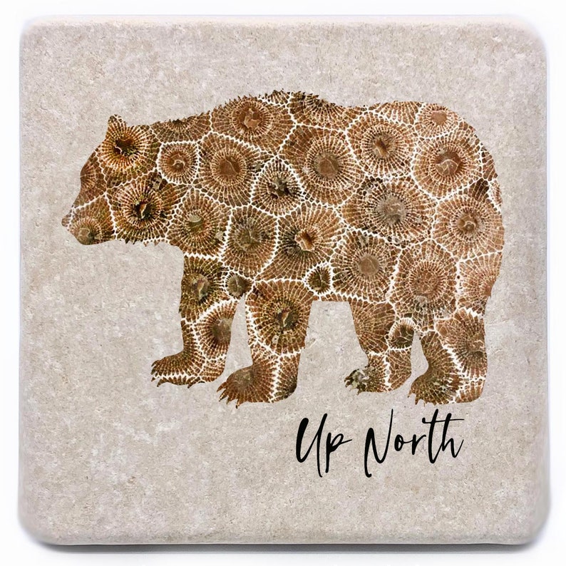 May include: A brown bear silhouette with a pattern of fossilized coral, on a beige background. The text "Up North" is written below the bear.