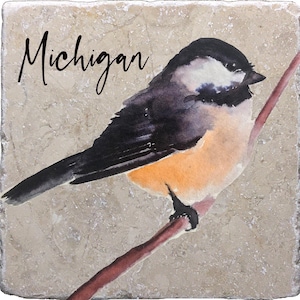 Chickadee Bird Coasters, Bird Decor, Bird Gift, Marble Stone Tile, Drink Barware, Housewarming Gift, Home Decor, Man Cave