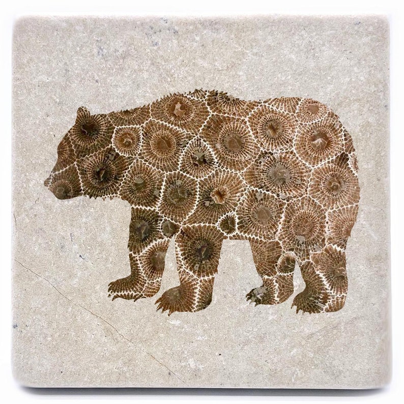May include: A brown bear silhouette made from a fossilized stone with a circular pattern. The bear is standing on a light beige background.