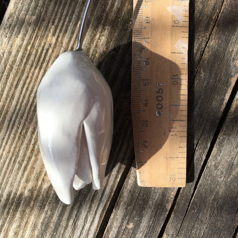 a handmade white ceramic tulip laying on its side on a wooden bench next to a ruler to show the measurements of the tulip. It is 15cm long.