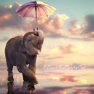 Layered psd. Elephant Dancing in the Rain Digital Background/Backdrop for Photoshop/Digital Backgrounds for Photograpy/for Kids