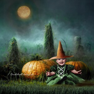 May include: A baby dressed as a witch sits in a field of pumpkins under a full moon. The baby is wearing a green dress and a brown witch hat. The pumpkins are orange and have a green stem.