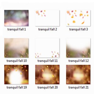 Tranquil Fall Overlays...26 Fall/autumn Overlays for Photoshop ...