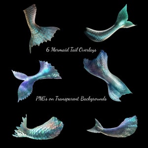 Mermaid Tail Png, Mermaid Bra Clipart, Mermaid Tail Overlays