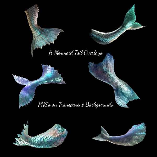 Mermaid Tail PNG Overlays for Photoshop/Six (6) Digital Downloads for Photographers, Scrapbooking, Etc. Digital Photo Props for Kids, Adults