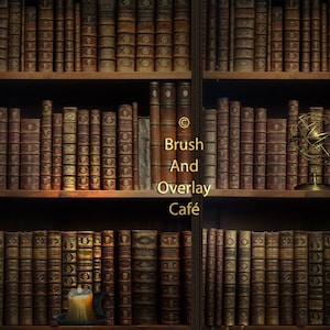 Book Case Digital Backdrop
