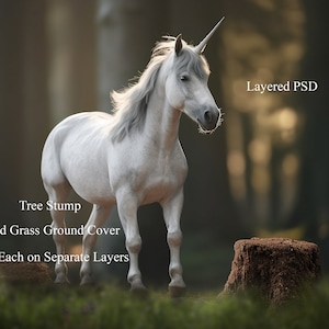 Unicorn Fantasy Fairy Tale Digital Background/Digital Backdrop for Photography/Photoshop, Photoshop Elements, Etc/Spring/Summer Layered PSD