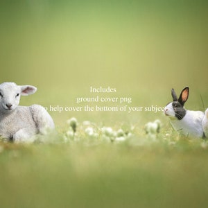 Two Bunnies and a Lamb Easter/Spring Digital Backdrop/Background for Photography and Scrapbooking