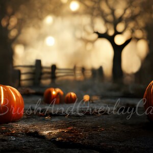 Halloween Pumpkins in Haunted Forest Digital Background/Backdrop for Photoshop