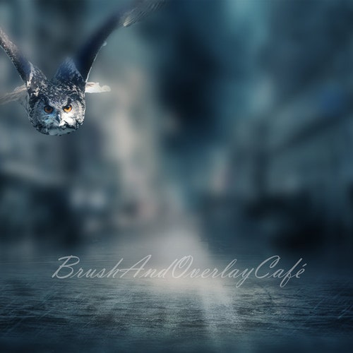 Snowy Owl Digital Backdrop/background for Photoshop Photoshop - Etsy