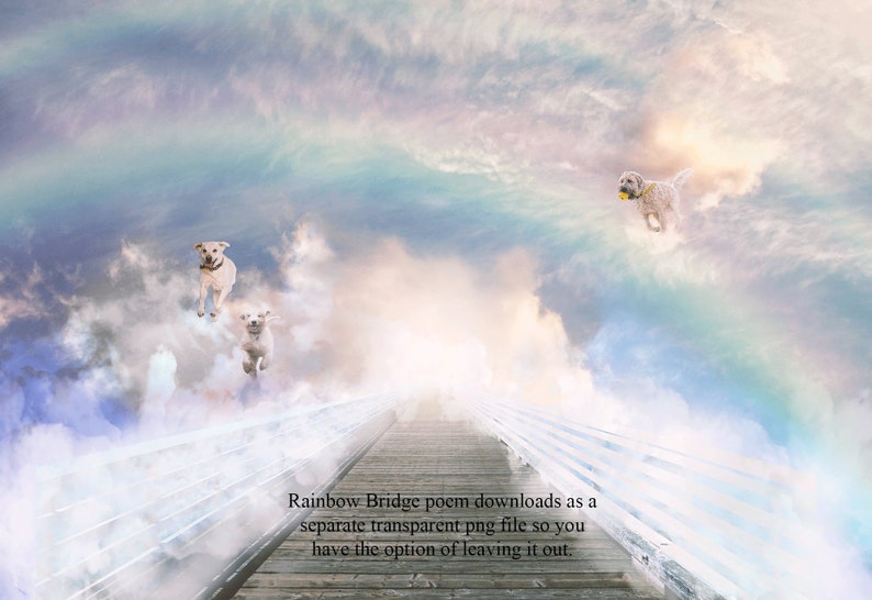 Rainbow Bridge Poem Pet Memorial Digital Backdrop/Background | Etsy