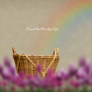 Rainbow Baby Digital Backdrop/ Newborn Digital Background For Rainbow Babies