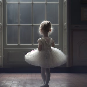 Window Digital Background/Backdrop for Photography/Gift for Girl/Stage/Dance Studio/Dance Floor/Senior Background
