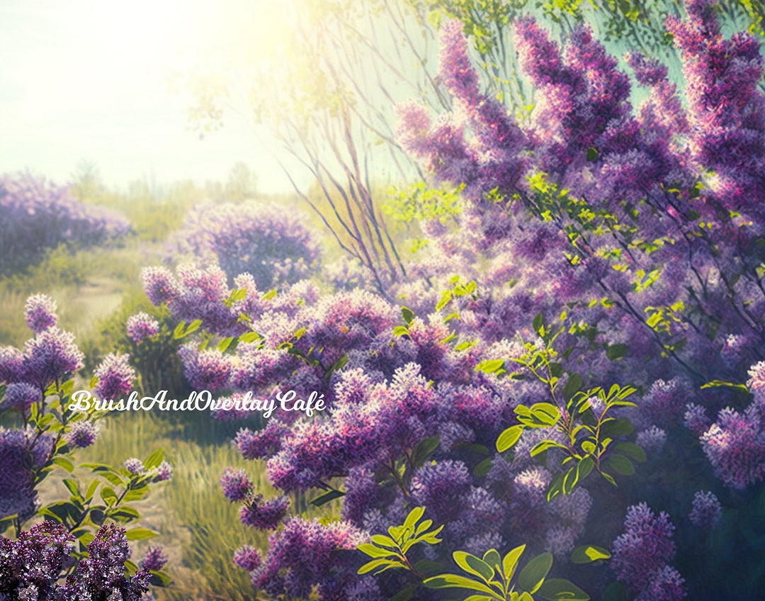 Digital Background for Spring, Summer, Easter! Floral Backdrop for Kids ...