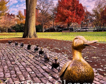 NEW! Autumn at the Boston Public Garden world-famous Make Way for Ducklings statue - Fall leaves in Back Bay Boston skyline - FREE SHIPPING!