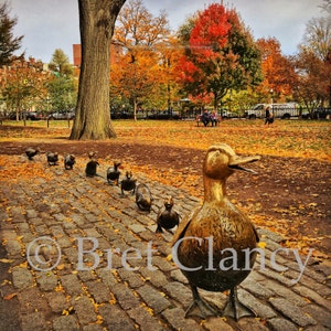Autumn at the world-famous Make Way for Ducklings statue in the Boston Public Garden - FREE SHIPPING!
