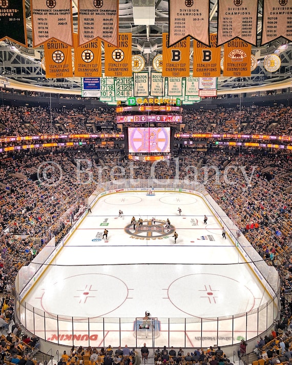 Wallpaper hockey, NHL, bruins, hockey, boston, tim, nhl