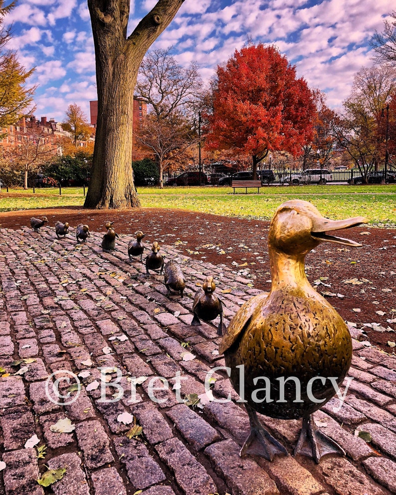 NEW Autumn at the Boston Public Garden world-famous Make Way for Ducklings statue Fall leaves in Back Bay Boston skyline FREE SHIPPING image 1
