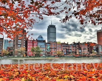 Stunning Boston autumn colors - The fall foliage scene along Boston's Back Bay skyline and the Charles River - FREE SHIPPING!