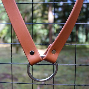 Horse Neck Rope / Cordeo for Bridleless Riding