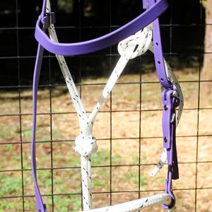 Puede incluir: Un cabestro de caballo blanco y morado. El cabestro presenta una cuerda blanca con motas negras y detalles morados. El cabestro está colgado de una valla metálica negra. El cabestro tiene una cabezada y una muserola moradas.