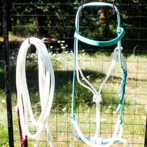 May include: A white rope and a teal and white horse halter hang against a chain-link fence. The rope is coiled, and the halter features a teal headstall and noseband. The background includes green grass and trees, suggesting an outdoor setting.