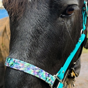May include: Close-up of a black horse wearing a teal and dragonfly-patterned halter. The halter features a teal strap and a patterned band with dragonflies in shades of blue, green, and purple. The horse's eye is visible.
