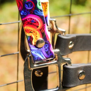 Biothane Horse Halter with Rainbow Swirl Nose Band