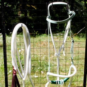 May include: A white rope and a light green and white horse halter hang on a black metal fence. The rope has a brown leather strap attached. The halter has a white rope design with green accents.