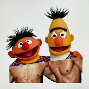 Ernie & Bert - Pop Art Humorous Fun Wall Art Collage