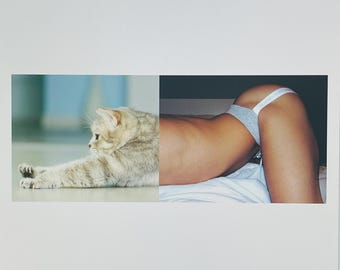 Cat Stretch Art Print: Whimsical Collage