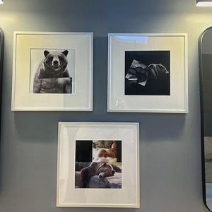 May include: Three framed art prints featuring bear and dog images. The top left print shows a bear's face and torso. The top right print is a black and white image of a bear. The bottom print shows a dog resting. The frames are white.